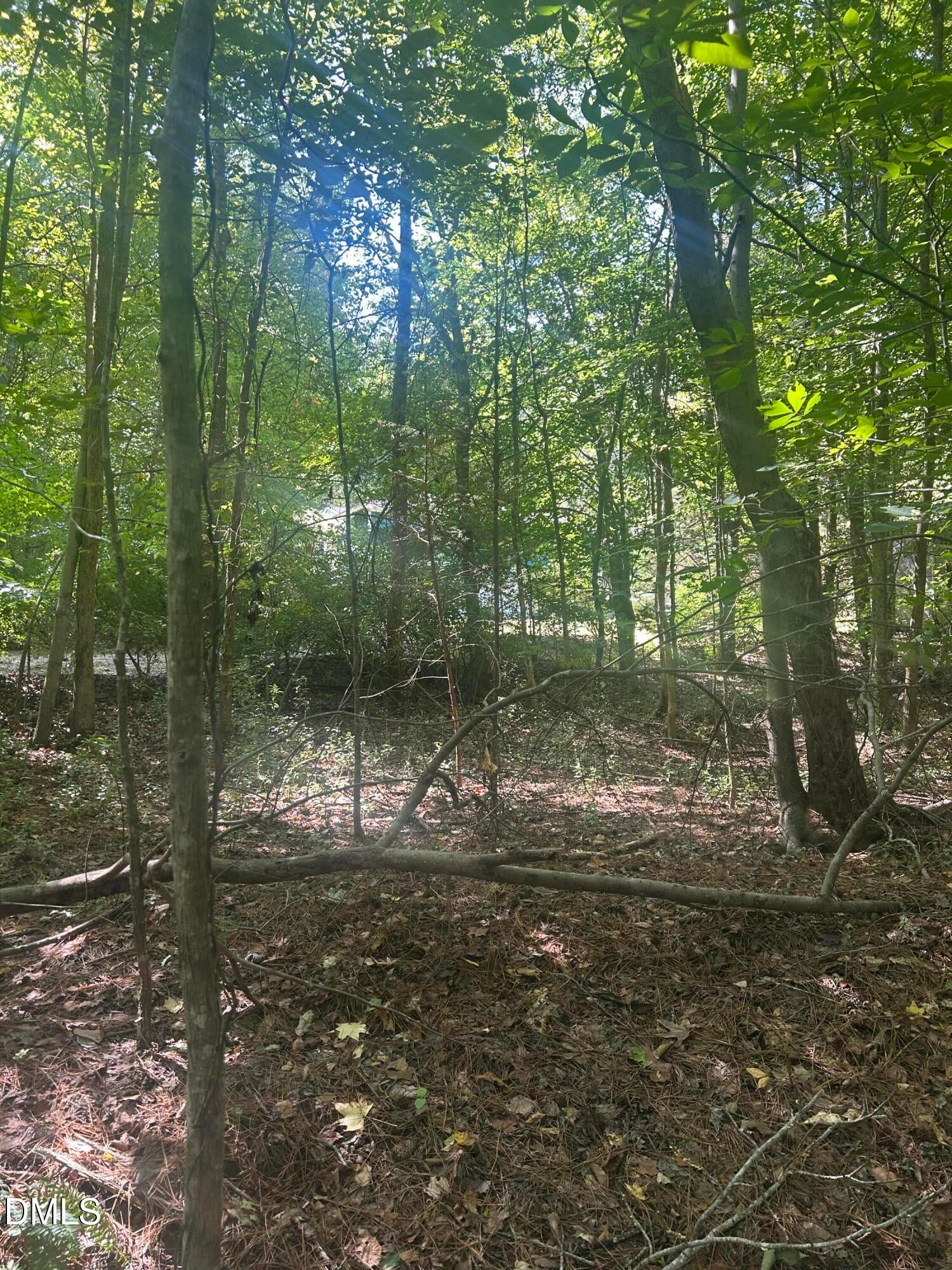 1317 Pine Trail