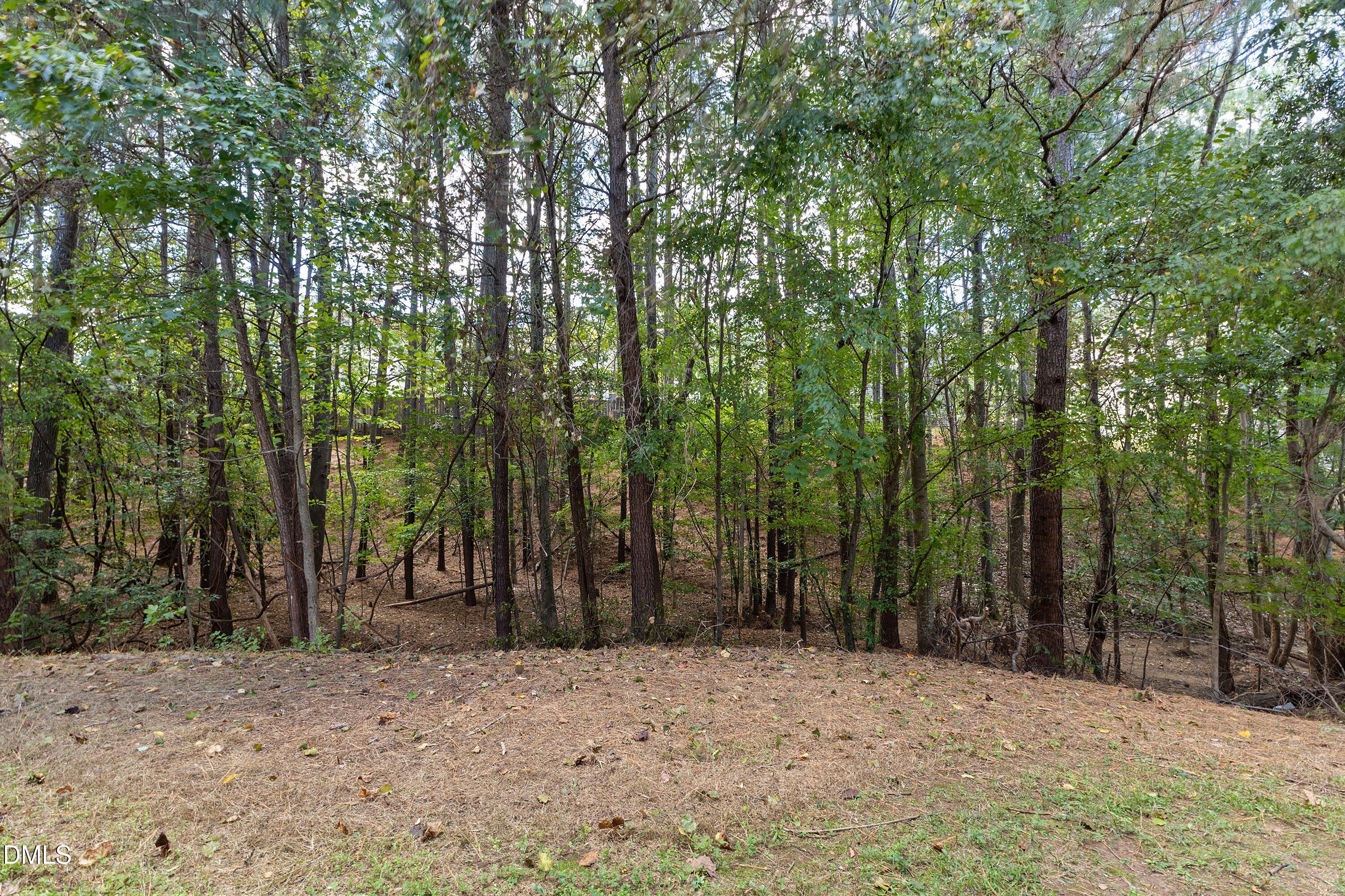 517 Texanna Way