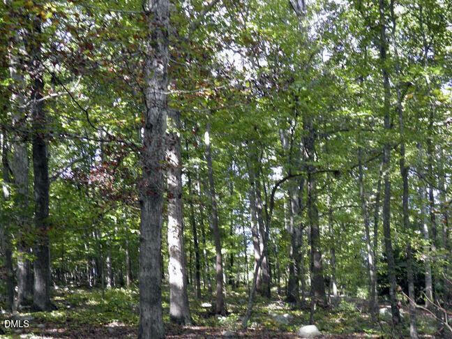 419 Hickory Pond Road