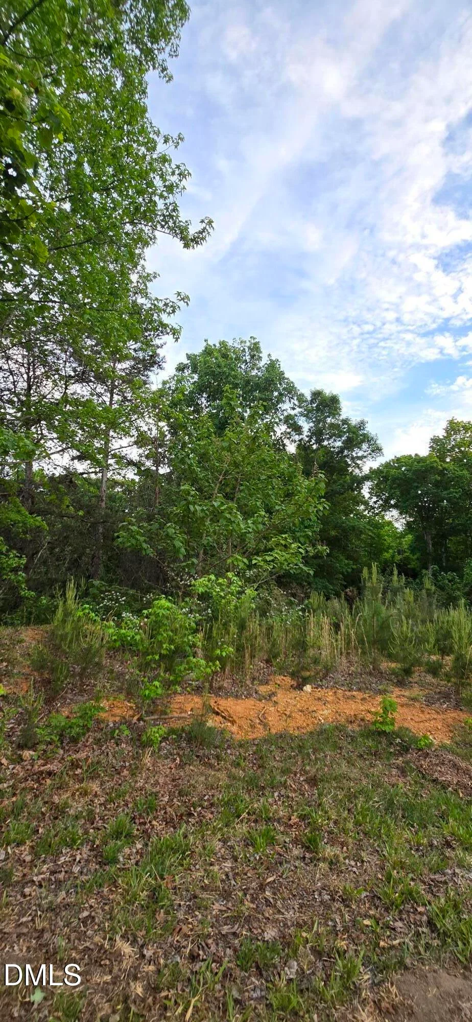 6530 Treetop Court, Snow Camp, NC, 27349
