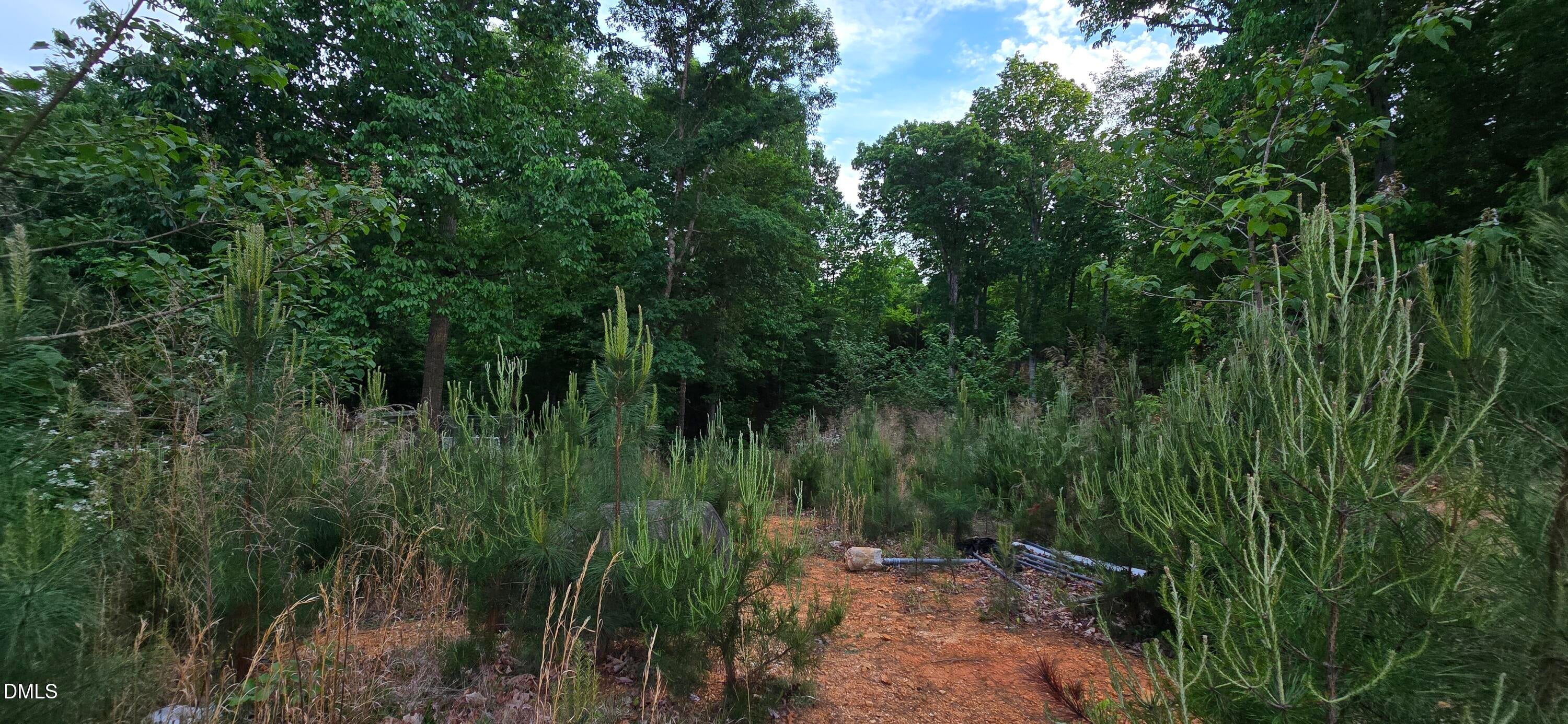 6530 Treetop Court