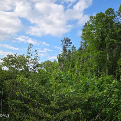 TUTELO RD, WARRENTON, NC 27589 - Image c5b4dcbf03da6c508a2afa5b5a31d7da/80435769