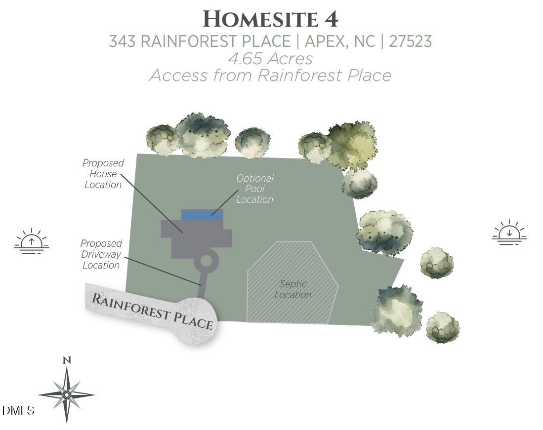 343 Rainforest Place