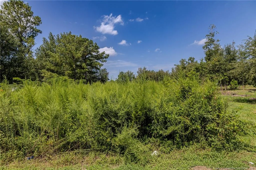 546 Pearsall Road