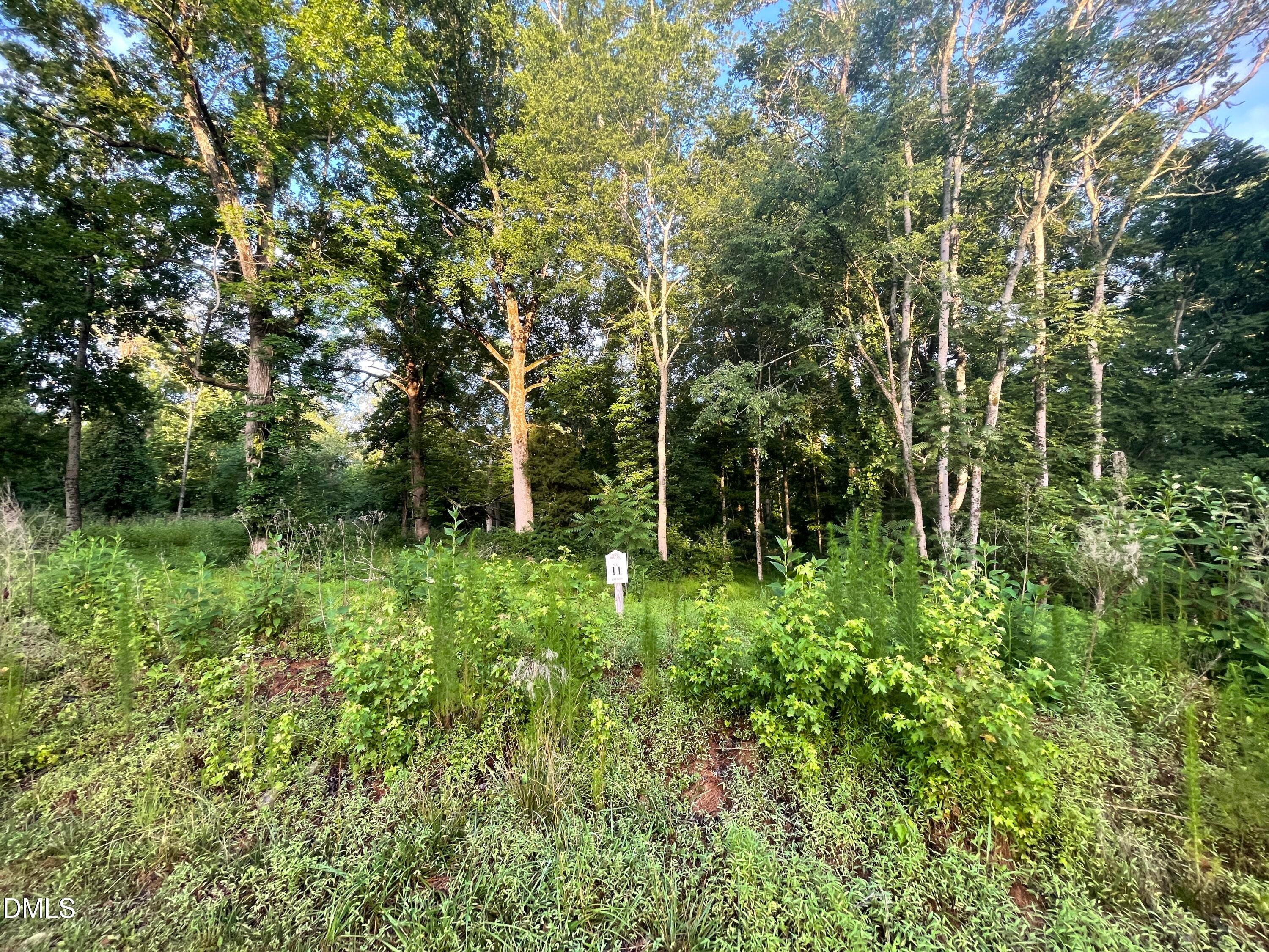 Lot 11 Gallant Fox Crossing