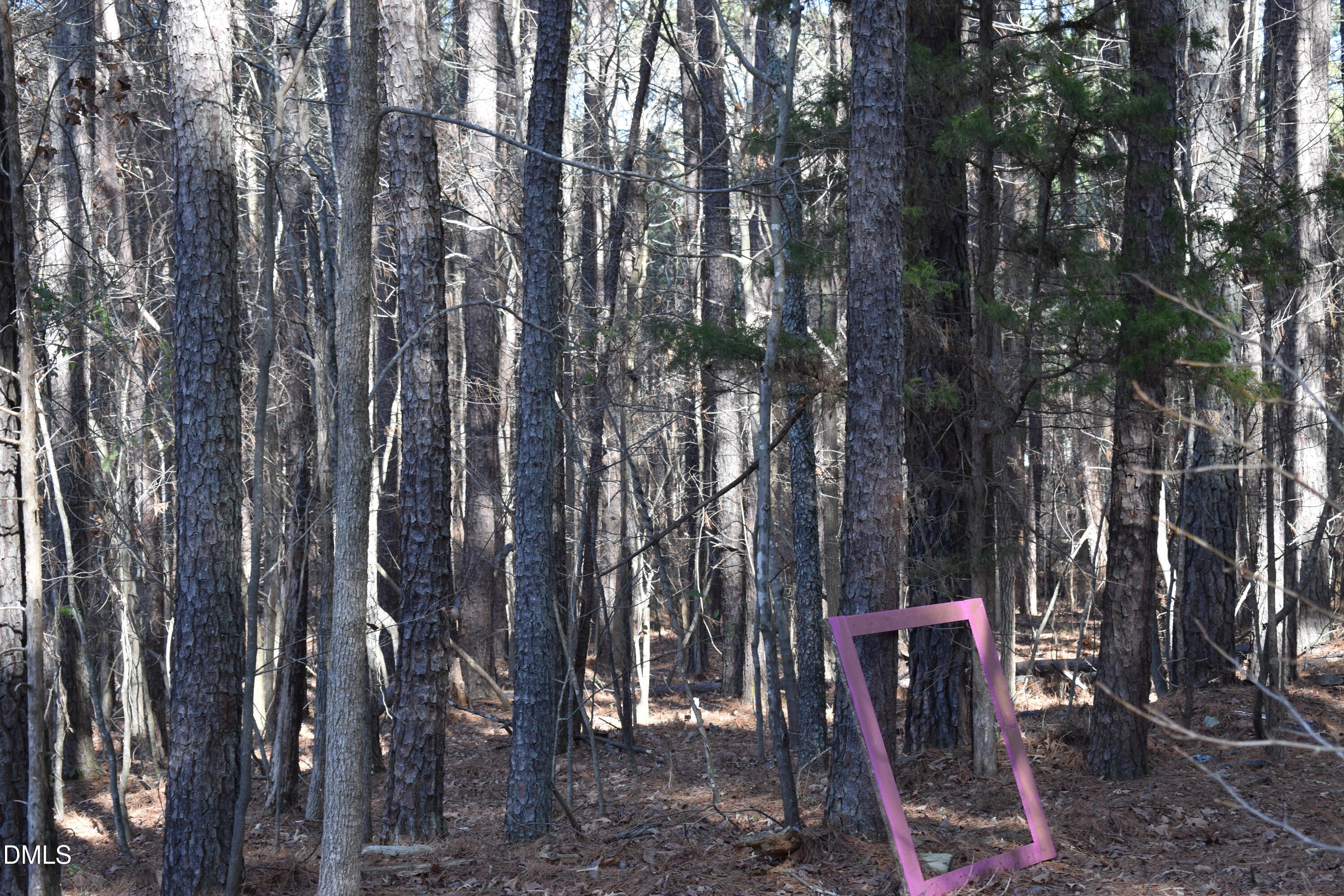 806 Carpenter Fletcher Road