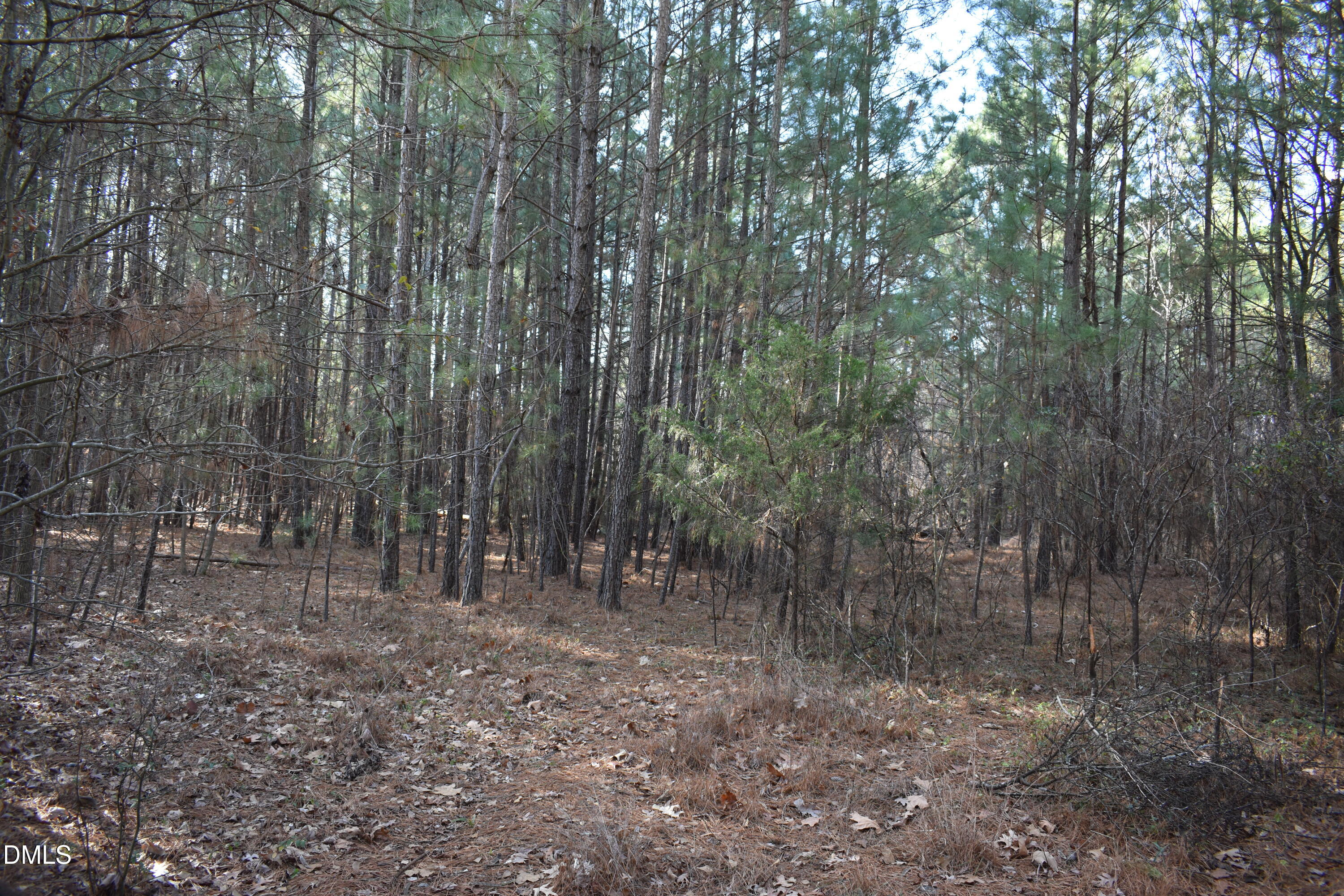 806 Carpenter Fletcher Road