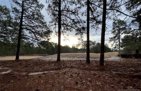 Photo of 182 Banbridge Drive, West End, NC 27376 (MLS # LP768708)