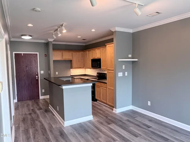 411 W Washington Street Unit 108, photo 2 of 19