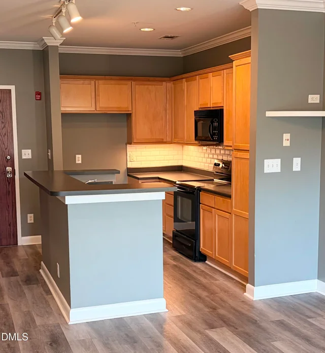 411 W Washington Street Unit 108, photo 4 of 19