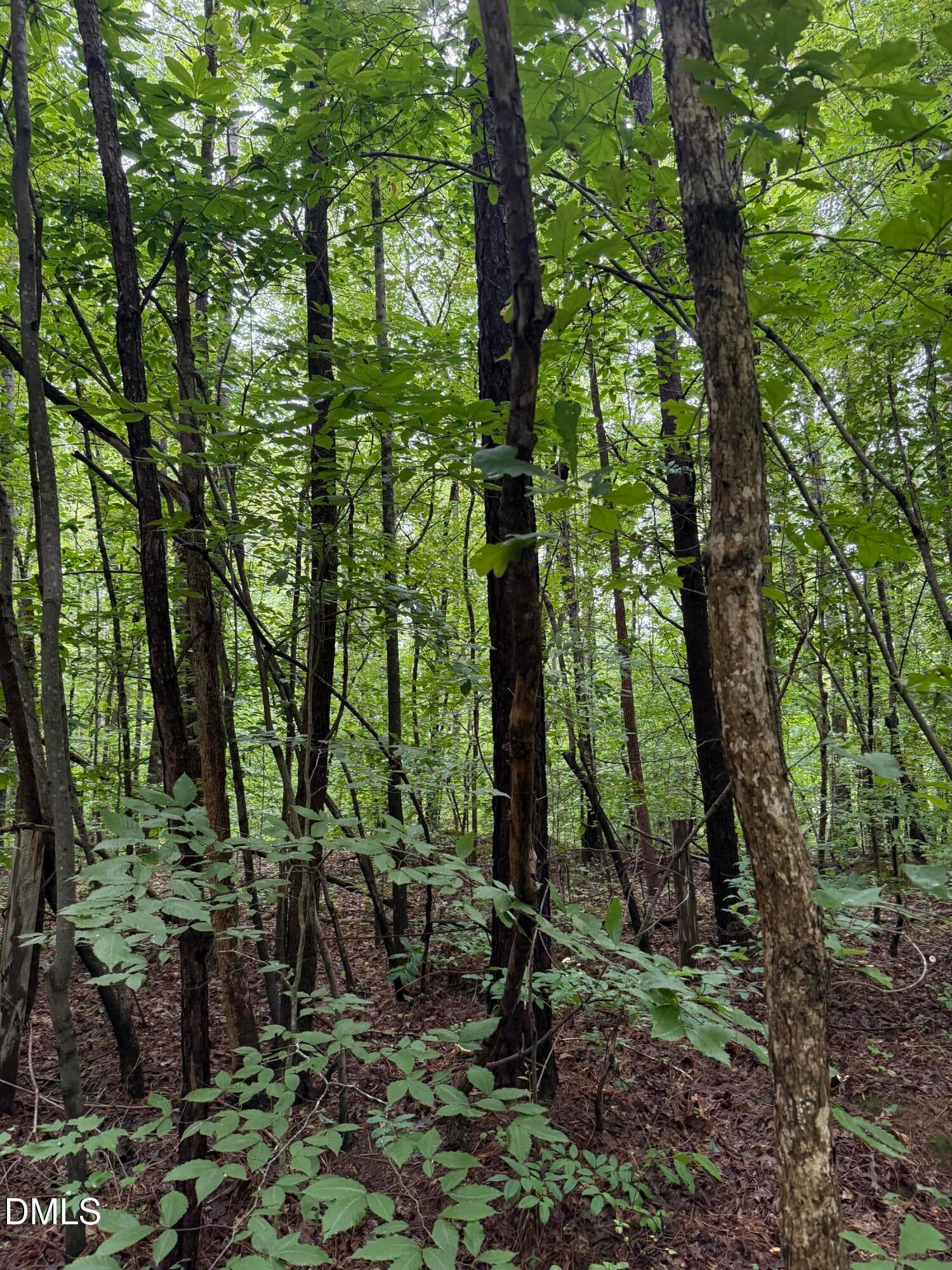 Lot 12 Frazier Lane