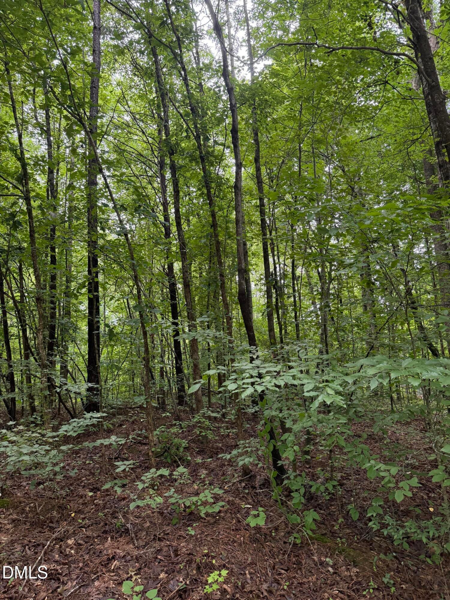 Lot 12 Frazier Lane