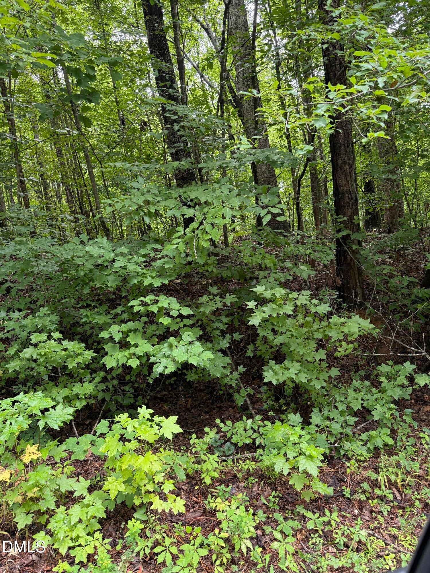 Lot 12 Frazier Lane