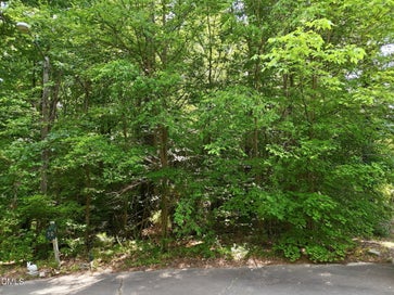 0 Heather Court Franklinton NC 27525