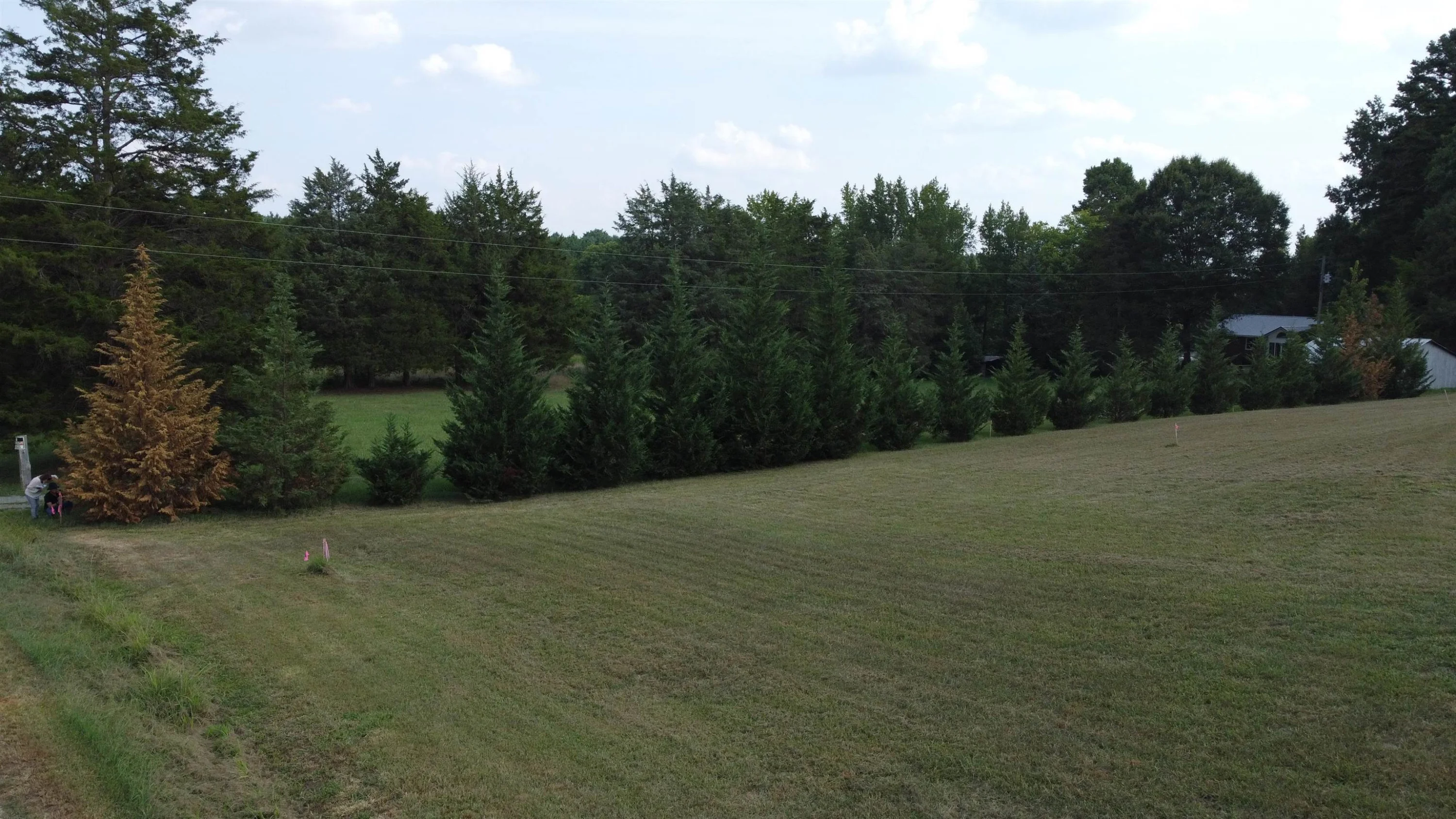 226 Carter Brooks Road