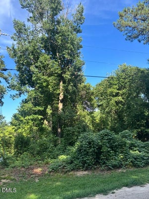 2417 NATIONAL AVE, RALEIGH, NC 27610 - Image d0313643c8f452ef4c565e9e81a2a480/45293615