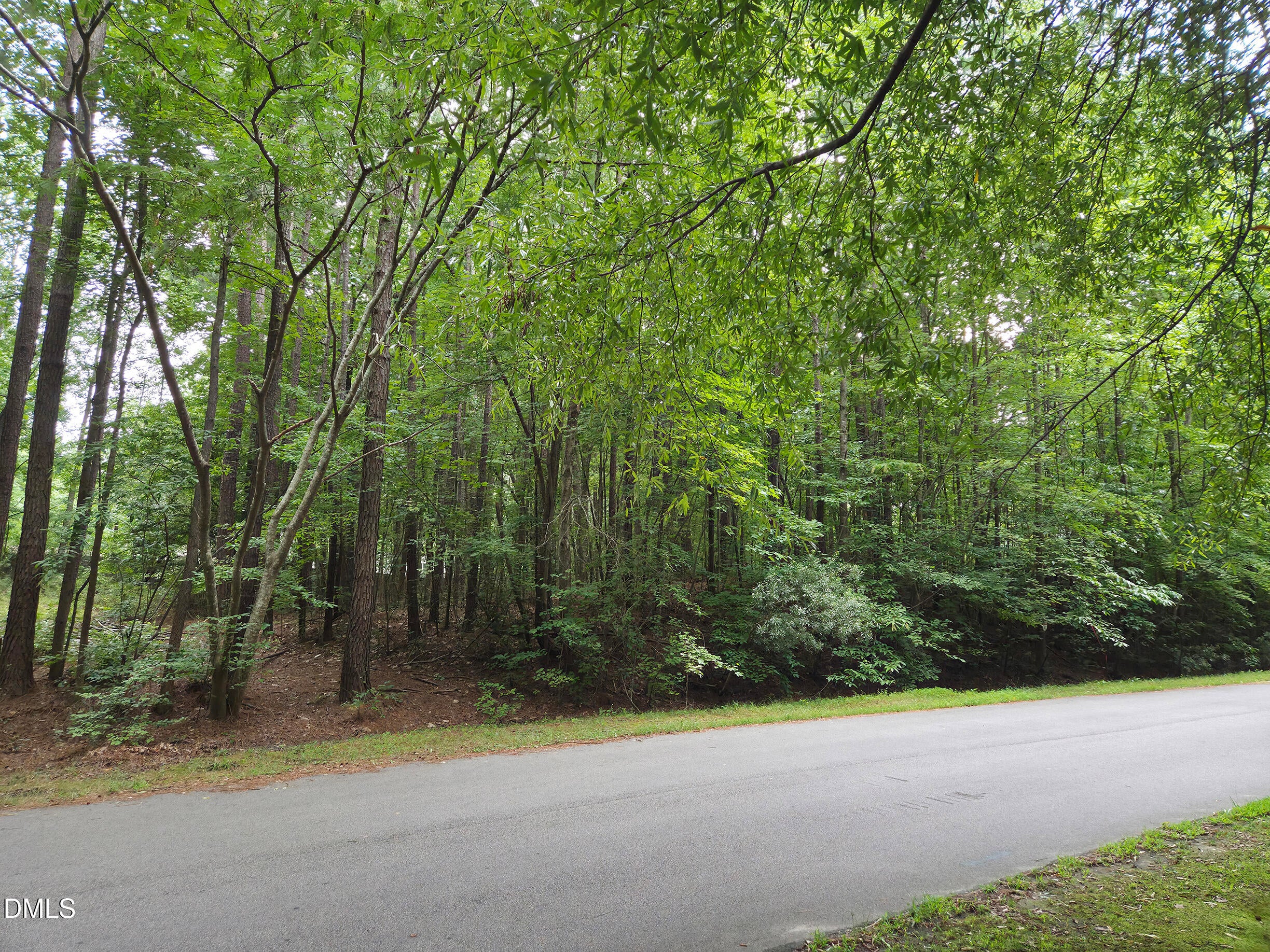 5009 Holly Brook Drive