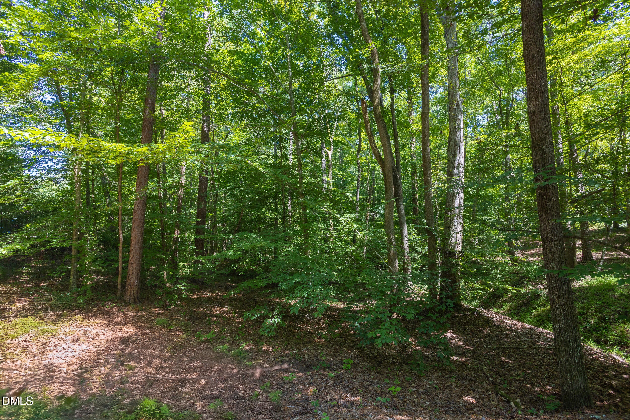 4515 Chicopee Trail