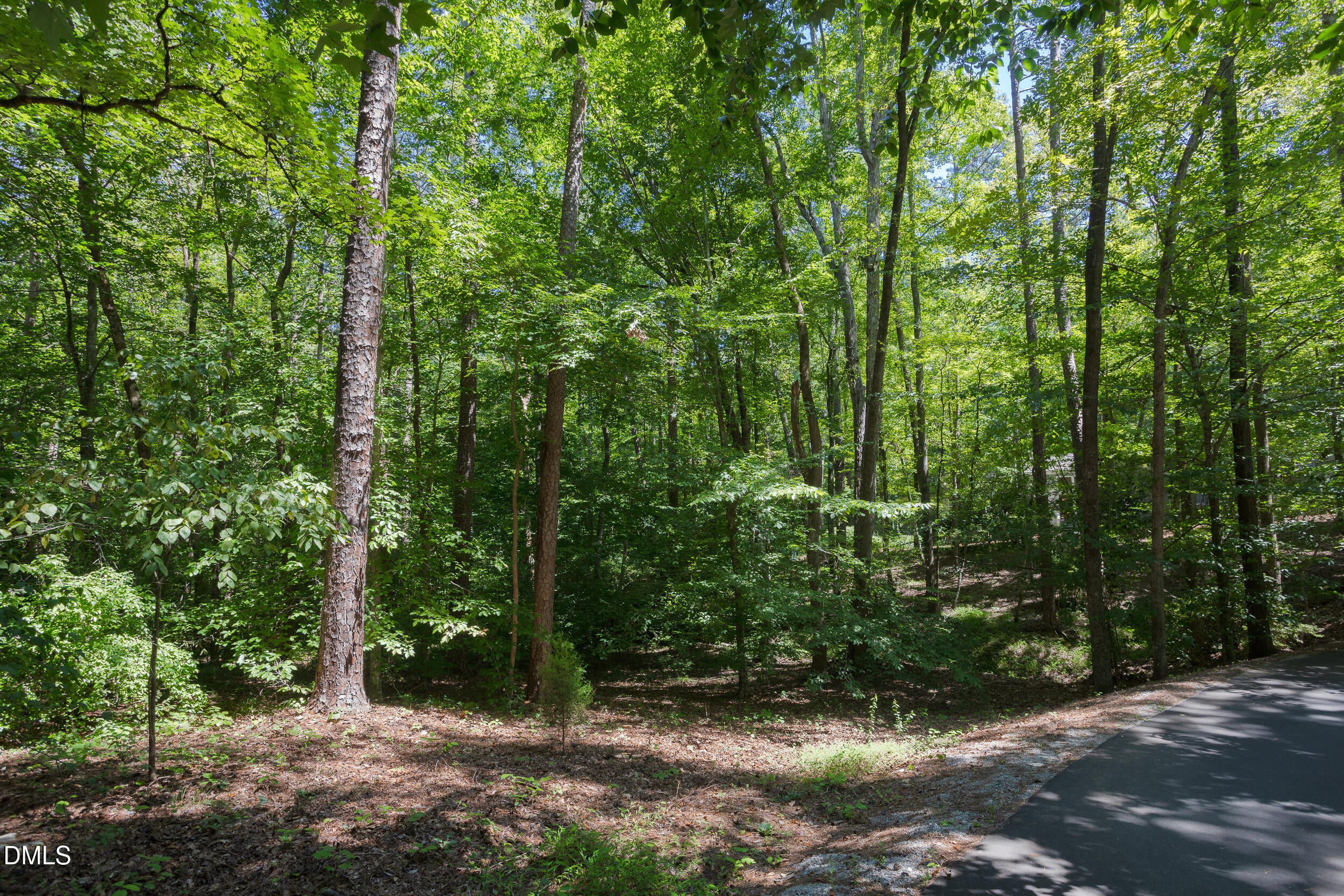 4515 Chicopee Trail
