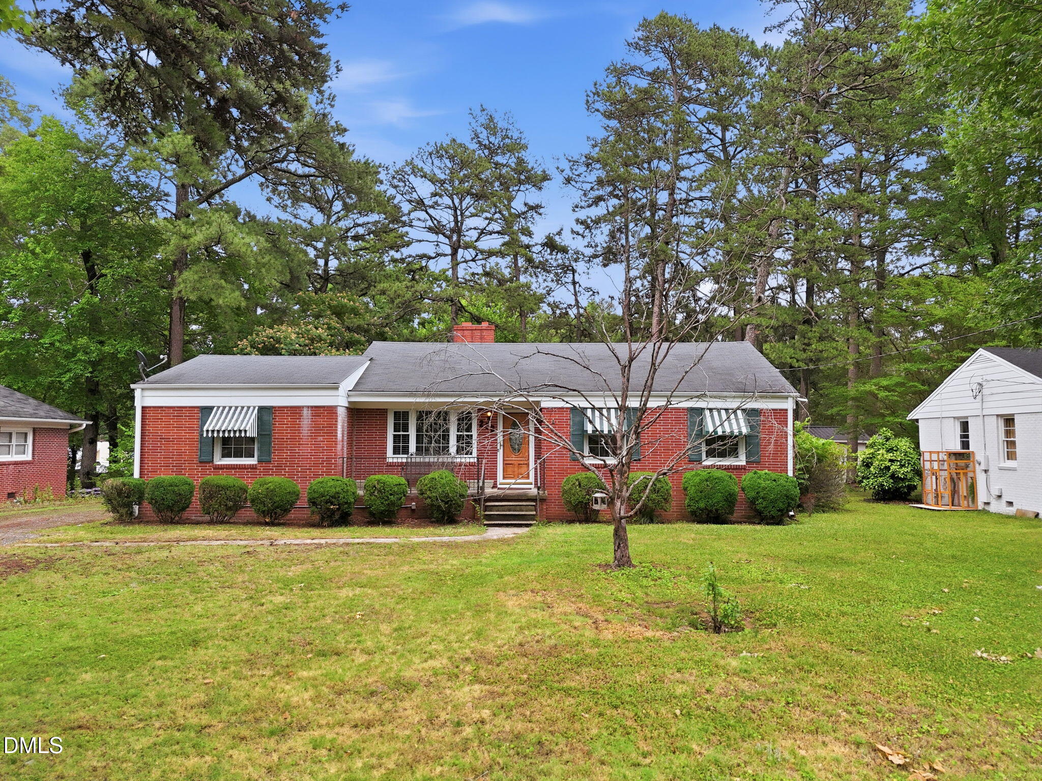 213 Pine Tree Road
