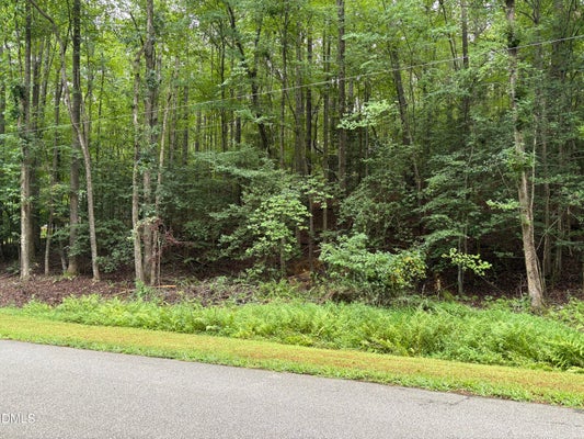 118 SOUIX DR, LOUISBURG, NC 27549 - Image d2525c5d87f1d701db383e71a139ebc5/3756889354