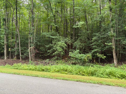 Photo of 118 Souix Drive, Louisburg, NC 27549 (MLS # 10189816)