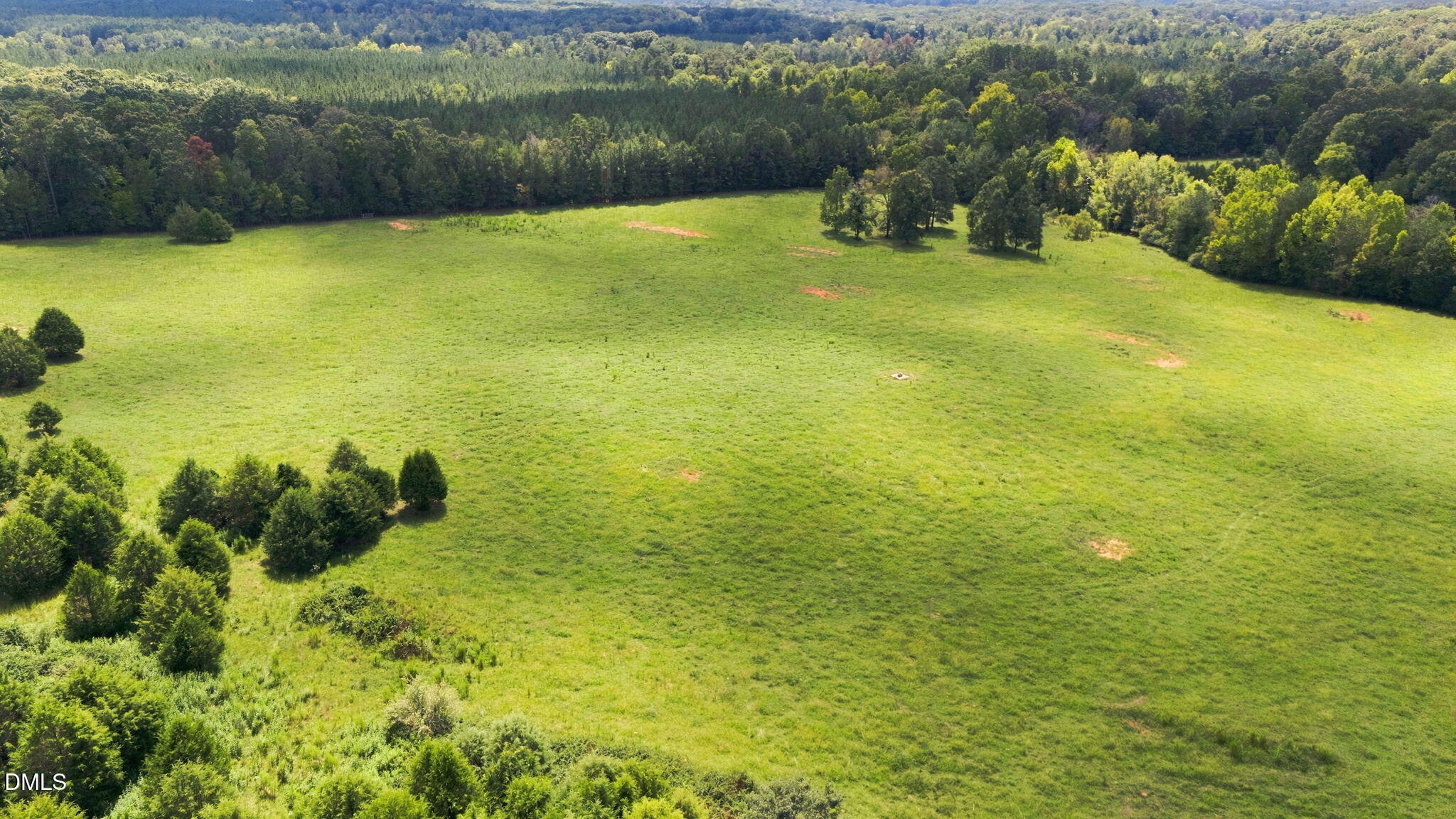 859 Pittsboro Goldston Road