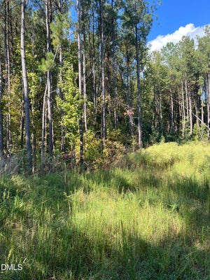 0 JONES COUSINS WAY, ZEBULON, NC 27597 - Image d4ee9e997af1a257909bd312265f35c0/633508492