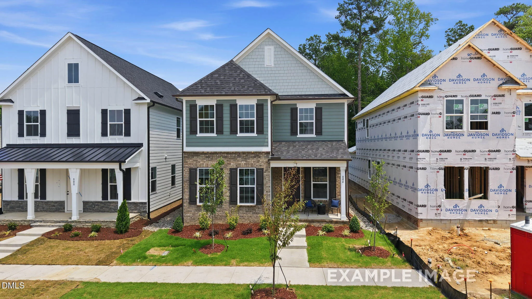 800 Carpet Grass Avenue