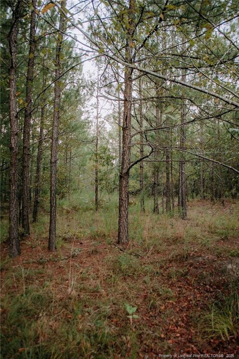 Photo of Lot 1-TBD Nighthawk Loop, Aberdeen, NC 28315 (MLS # LP769778)