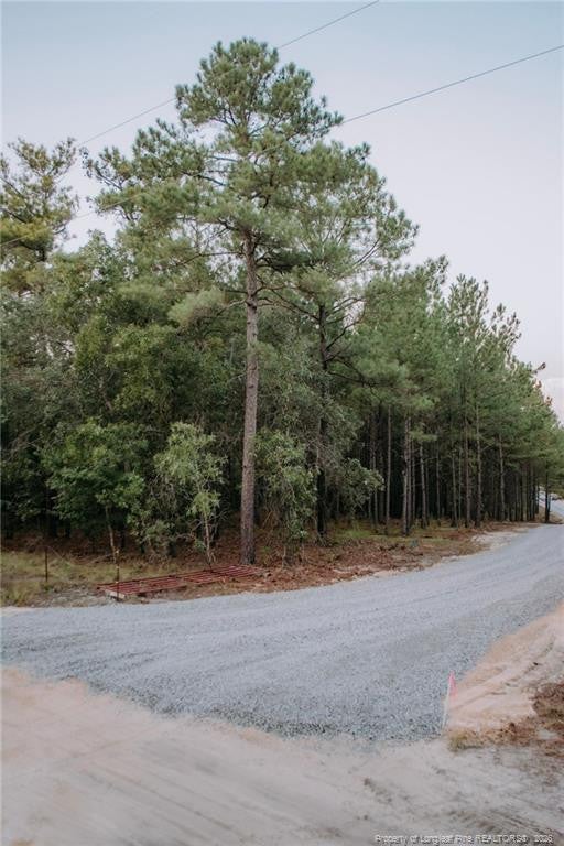 Lot 1-TBD Nighthawk Loop
