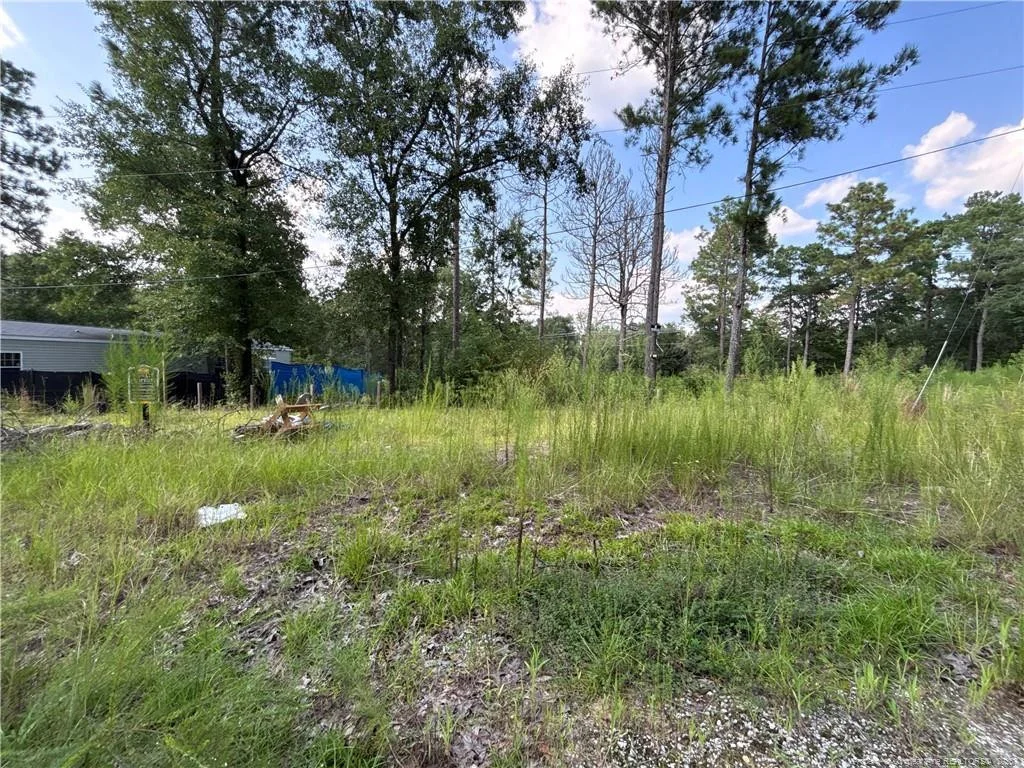813 Wiregrass Road, Hamlet, NC, 28345