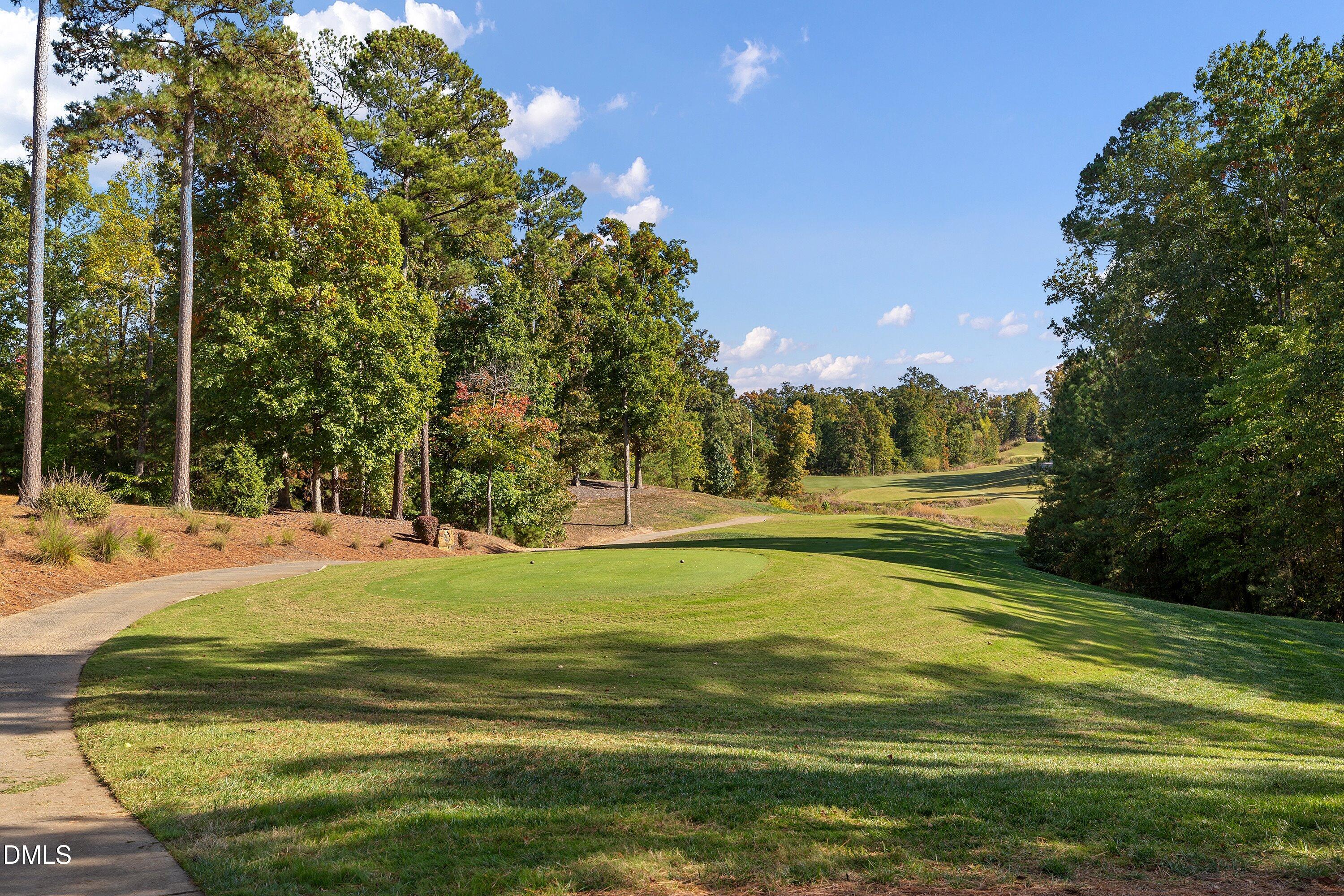 305 Lively Oaks Way