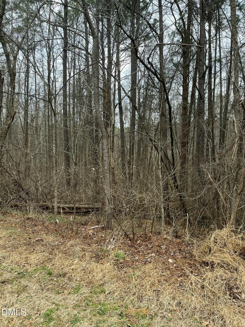 Photo for 91 Lot Haynoke Drive