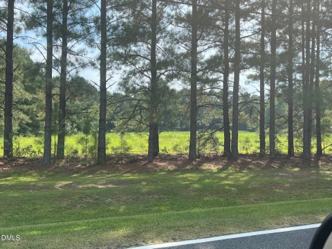 Photo of 3405 Matthews Mill Pond Rd, Angier, NC 27501 (MLS # 10193018)