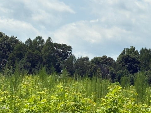 Photo of Lot 2 Sams Road, Mebane, NC 27302 (MLS # 10187717)
