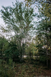 Lot 3-TBD Nighthawk Loop Aberdeen NC 28315