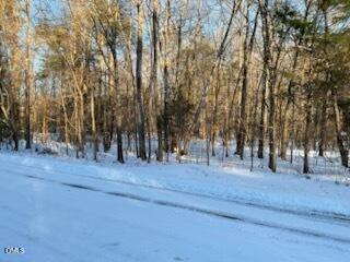 Photo of 00 Turner Road, Mebane, NC 27302 (MLS # 10144134)
