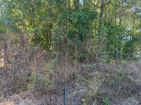 644 CAULTON BROWN RD, LILLINGTON, NC 27546 - Image eb3f94bd4e76ce30f3f864149a8519f5/1331118101