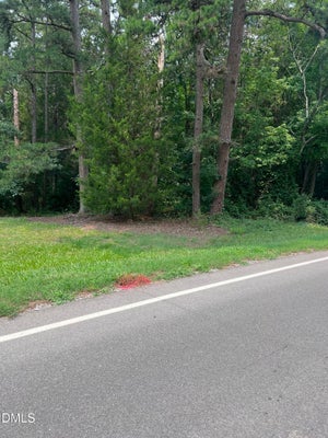 LOT 1 ELMER MOORE ROAD, SILER CITY, NC 27344 - Image ecac5cf6c03e40281261514c27a1b0d7/957676123