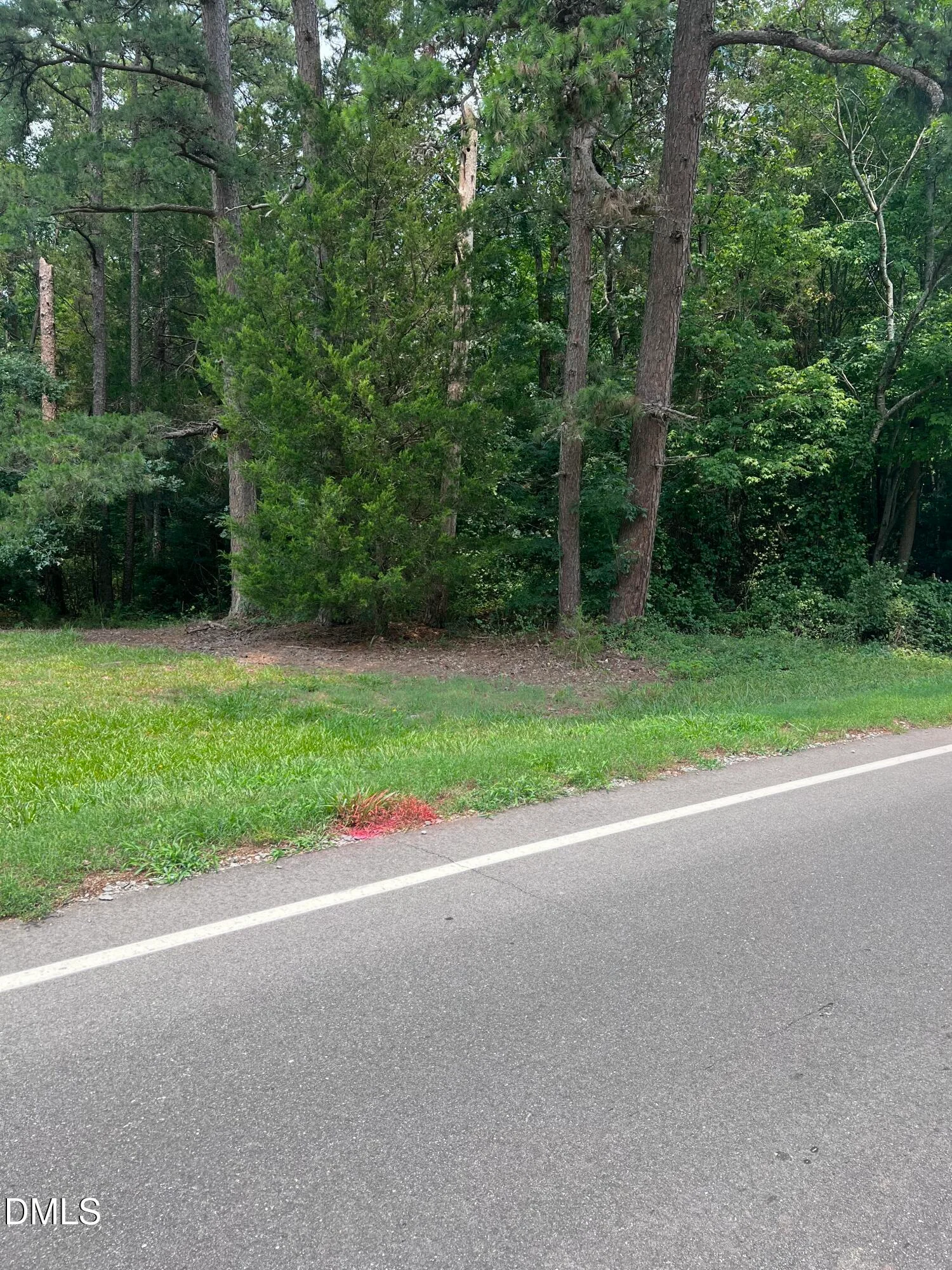 Lot 1 Elmer Moore Road