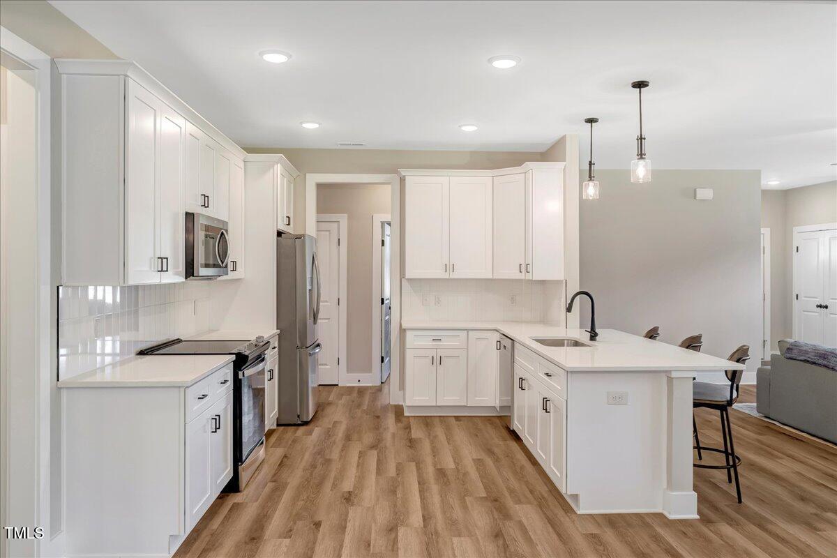 9133 Raccoon Drive