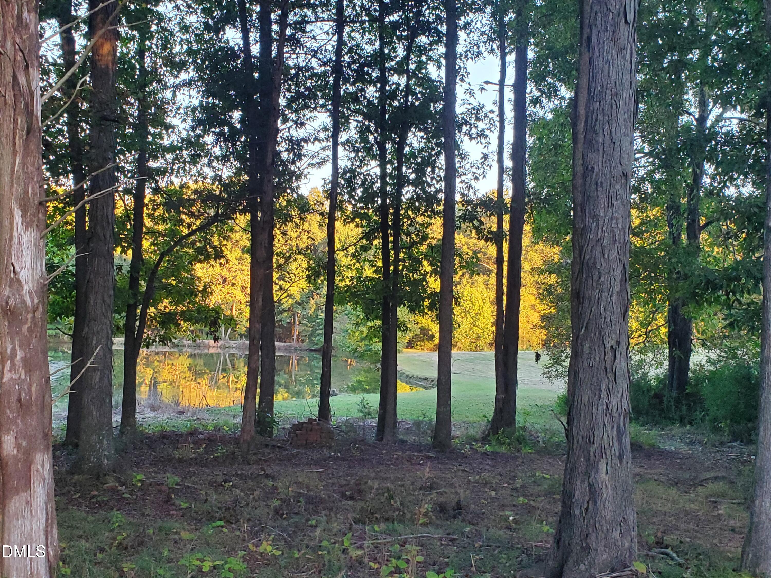 1196 Pearleman Teague Road