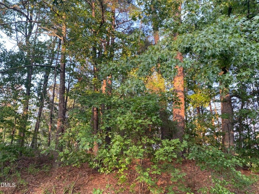 2413 HOLIDAY DR, RALEIGH, NC 27610 - Image f3559d1d6baa96bfbcb2bfeb7cfea65f/3656745292