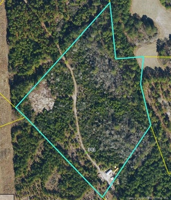 341 SQUIRES FARM RD, WHITE OAK, NC 28399 - Image f4a1a98ecac281cb10070f3d0b4488b8/458627787