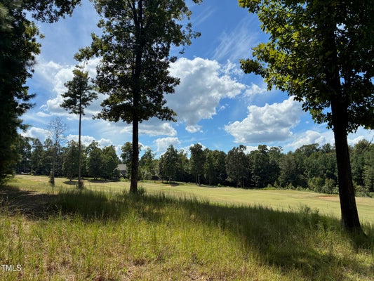 48 SWEET MEADOW LN, PITTSBORO, NC 27312 - Image f81e2ac855a42b0ff8ac538604fba81c/487103495