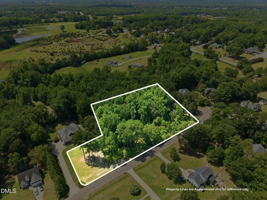 205 TERESA CT, ANGIER, NC 27501 - Image f8295f72d0a9b542bbd505a82e8b28df/3173588919