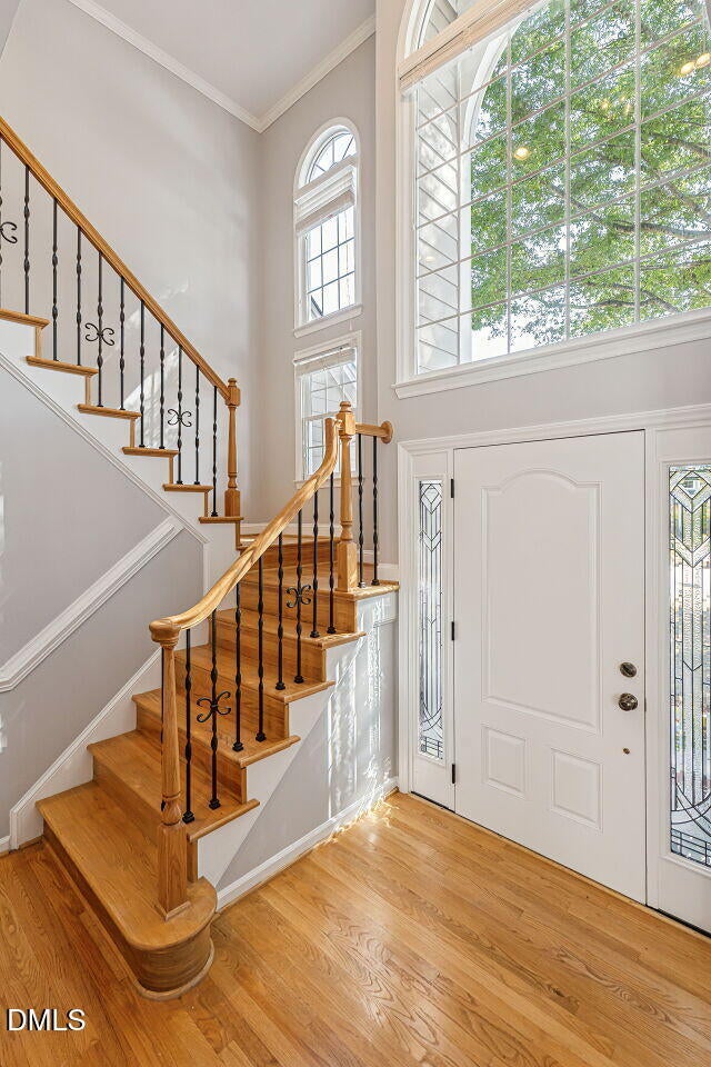 217 Ravenstone Drive