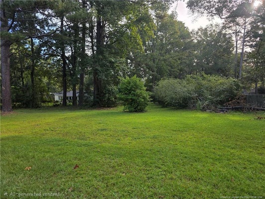 1671 RIM RD, FAYETTEVILLE, NC 28314 - Image faedead2b93a92a73ec979c965c7ba15/3589921474