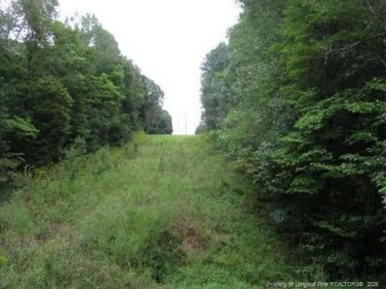 6700 Cass Holt Road
